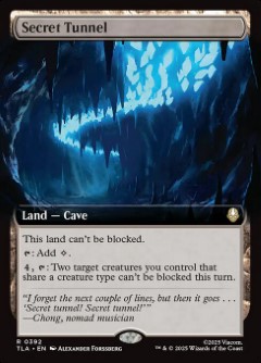 Secret Tunnel Avatar- The Last Airbender Bordless